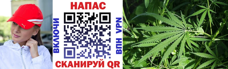 Купить закладку КОКАИН  Марихуана  Мефедрон  Галлюциногенные грибы  Амфетамин  ГАШ  APVP  Краснознаменск