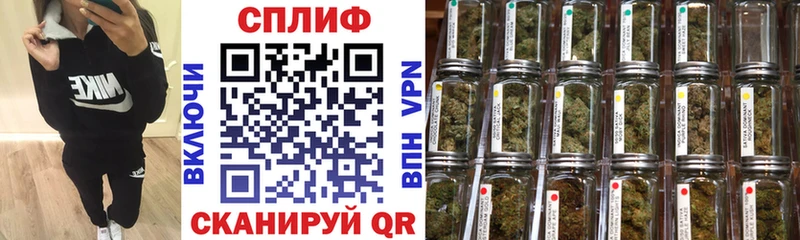 Купить закладки  Краснознаменск  Бошки марихуана план 